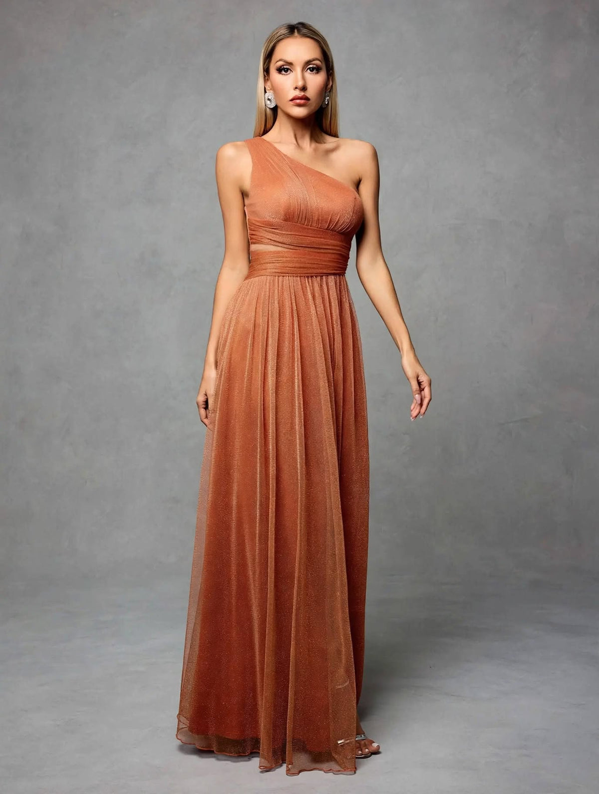 One-Shoulder Pleated Mesh Maxi Dress