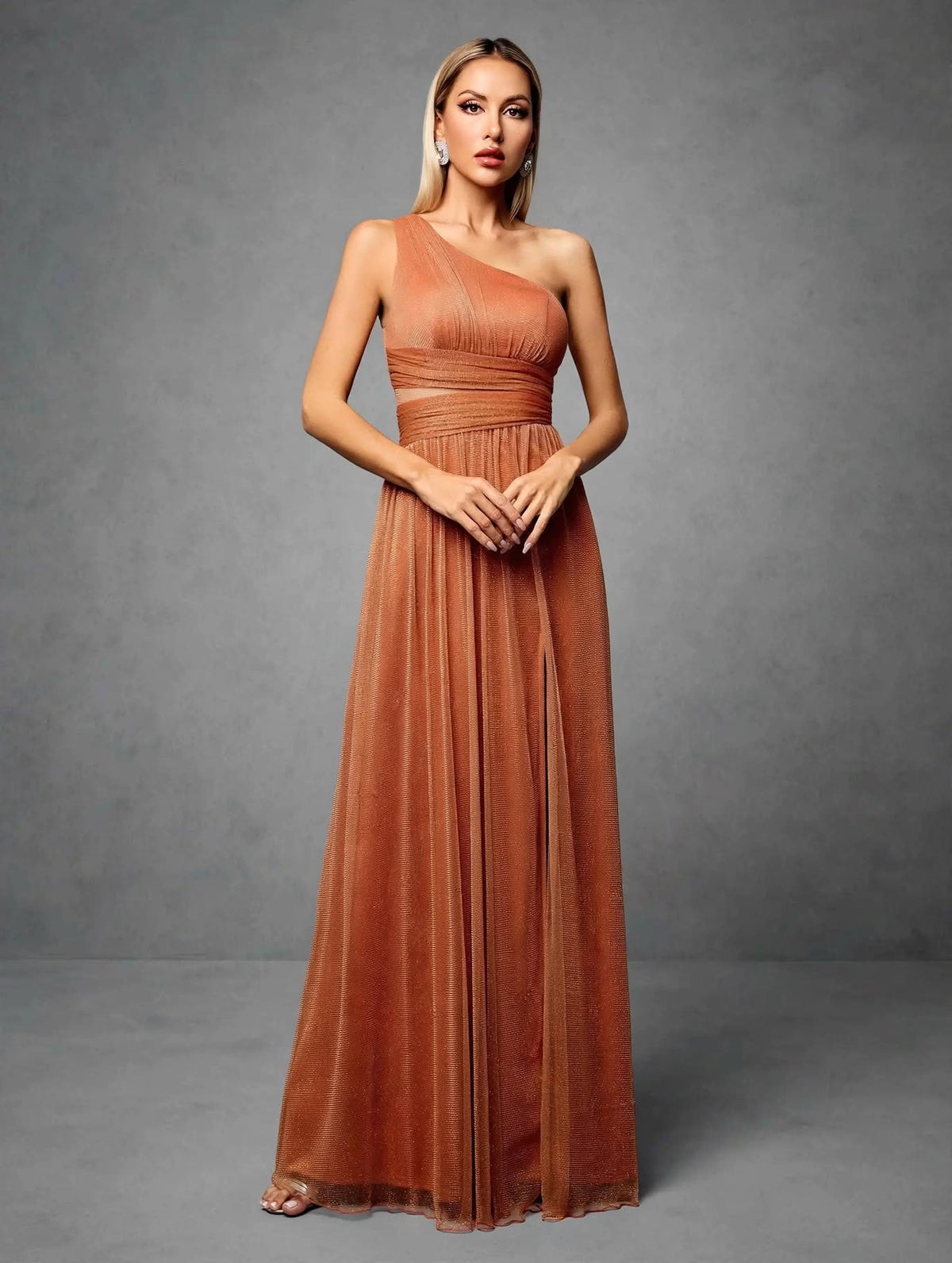One-Shoulder Pleated Mesh Maxi Dress