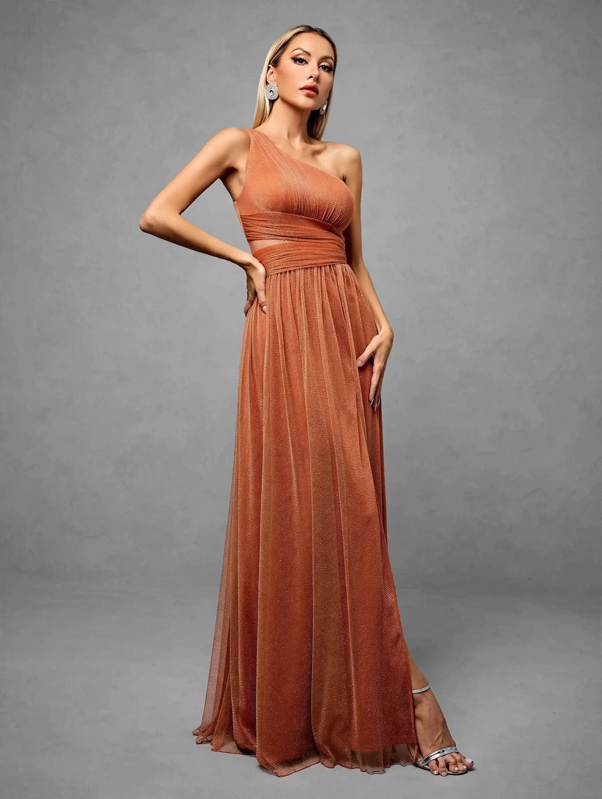 One-Shoulder Pleated Mesh Maxi Dress