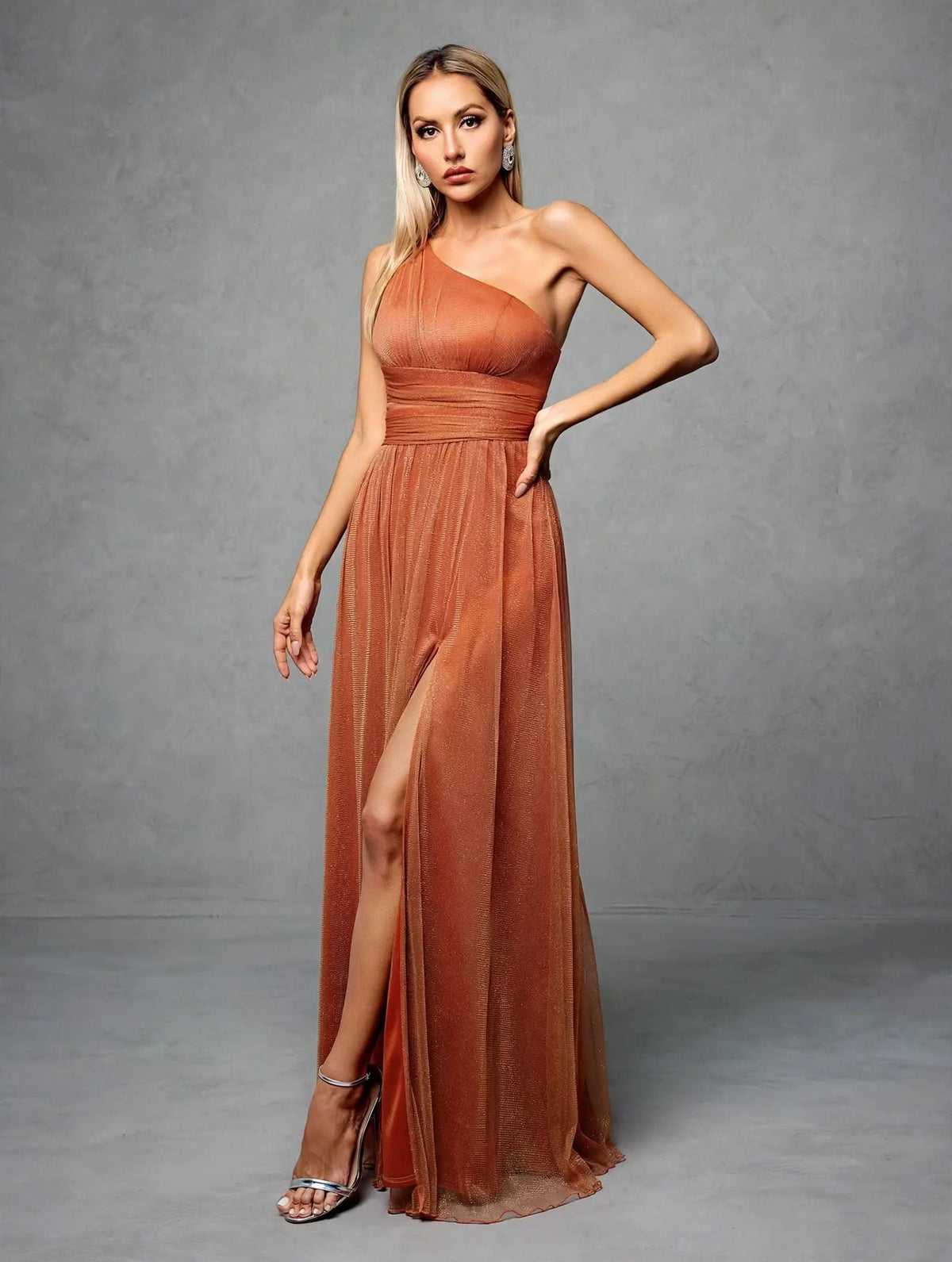 One-Shoulder Pleated Mesh Maxi Dress