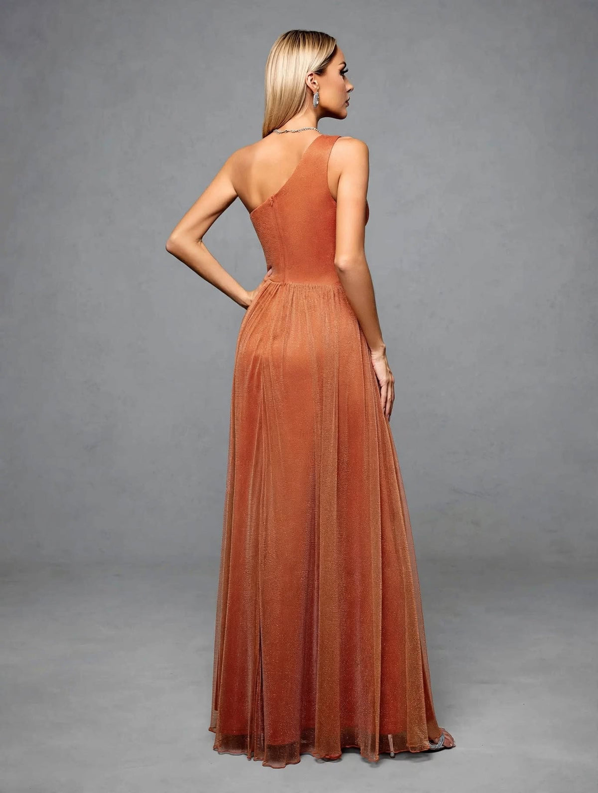 One-Shoulder Pleated Mesh Maxi Dress